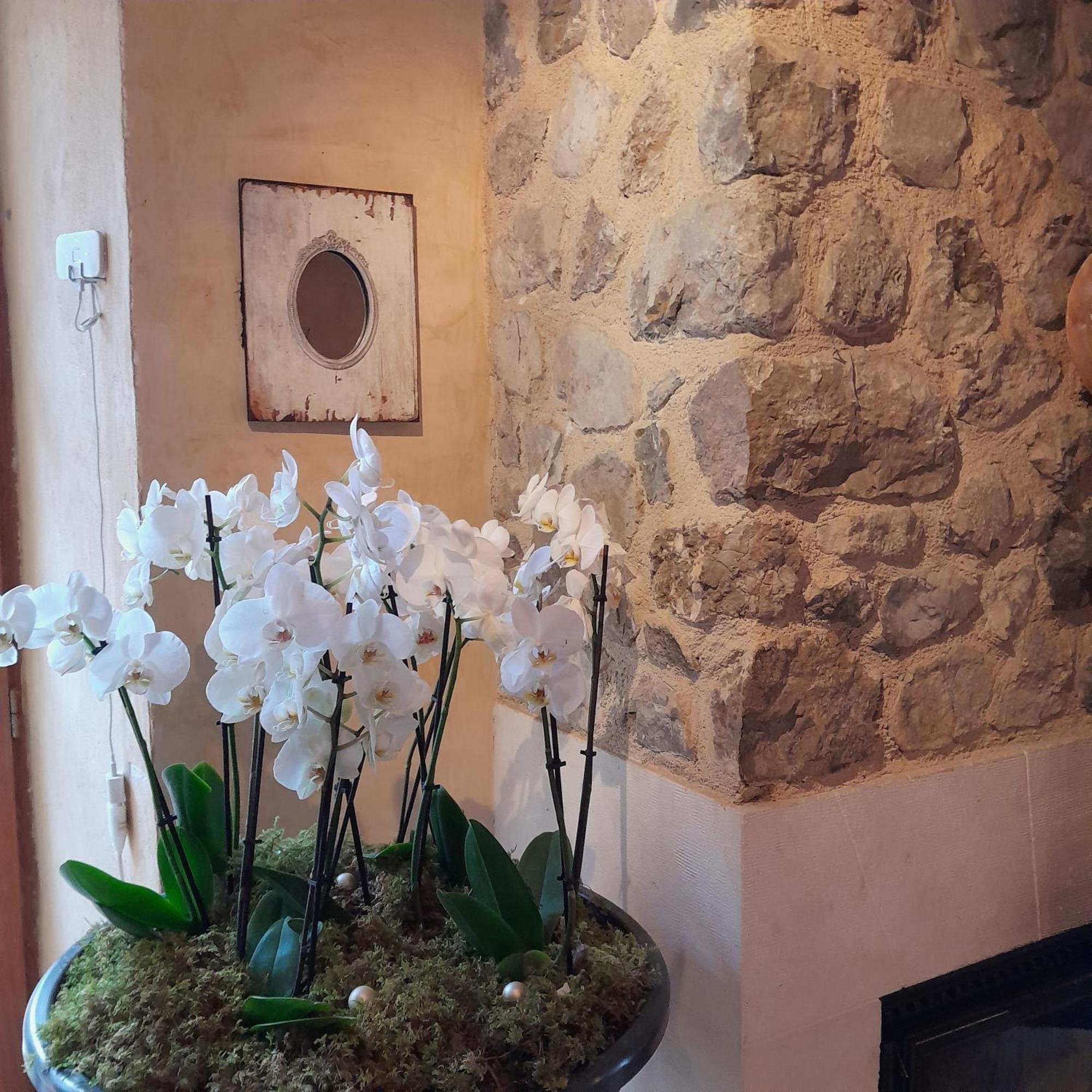 Chambre D'Hotes La Romarine Barnave Esterno foto