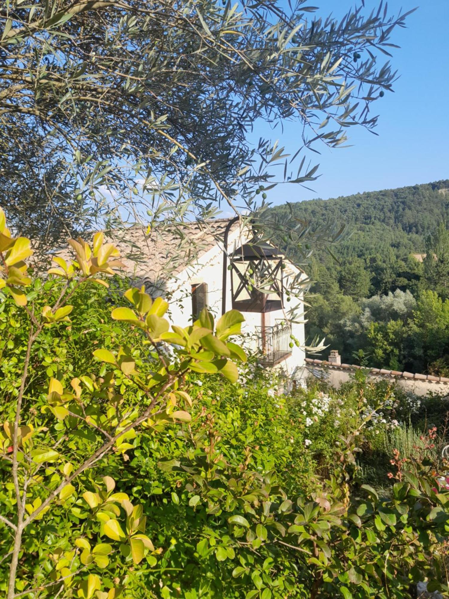Chambre D'Hotes La Romarine Barnave Esterno foto